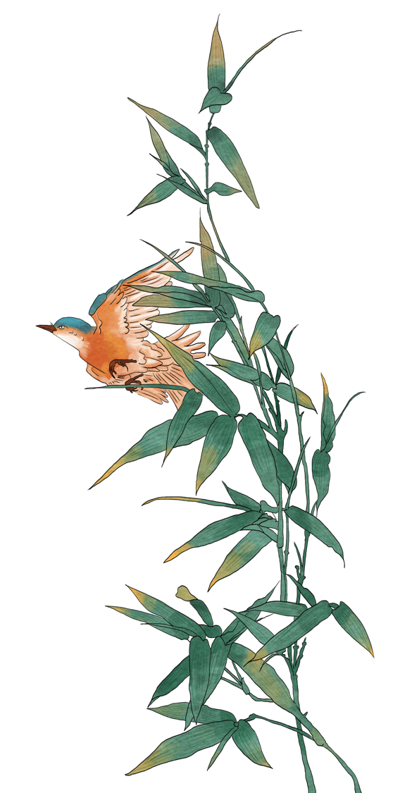 飞鸟12.png