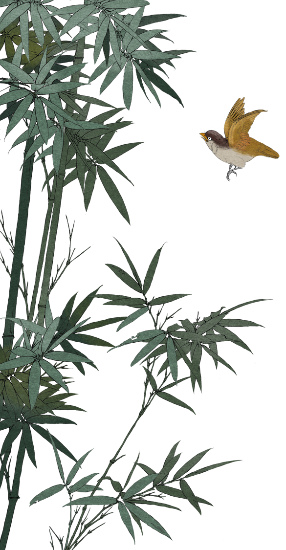 飞鸟2.png